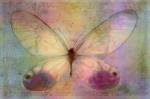 Framed Yellow Butterfly Watercolor Print