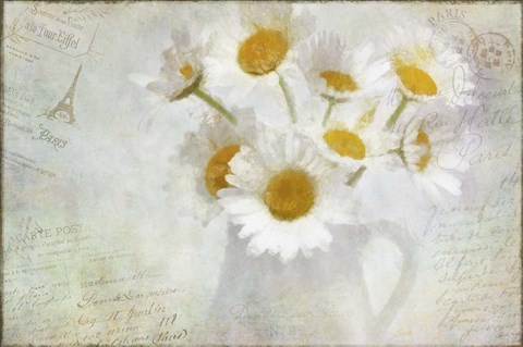 Framed Daisies Paris Vintage Print