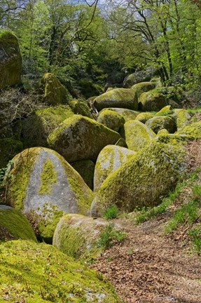 Framed Chaos Of  Huelgoat II Print