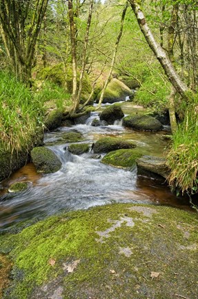 Framed Chaos Of  Huelgoat III Print