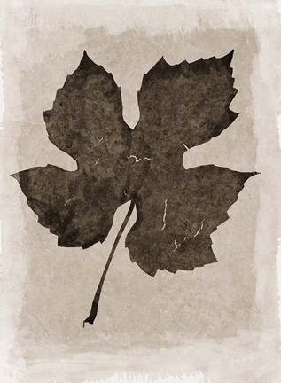 Framed Sepia Grape Leaf Print