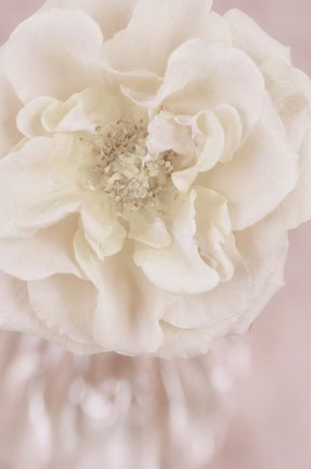 Framed Rose Gold Print