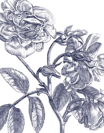 Framed Belle Fleur I Light Crop Print