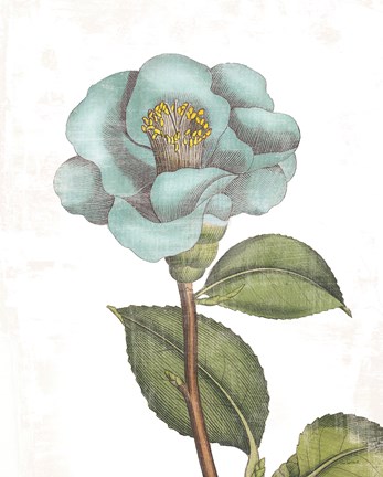 Framed Bloemen Boek V on White Print