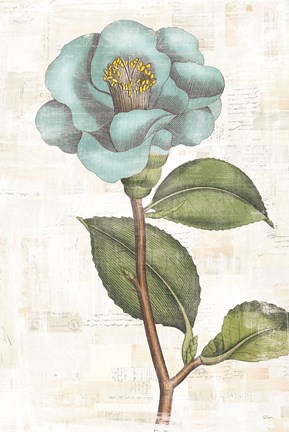 Framed Bloemen Boek IX Print