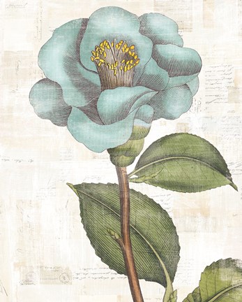 Framed Bloemen Boek V Print