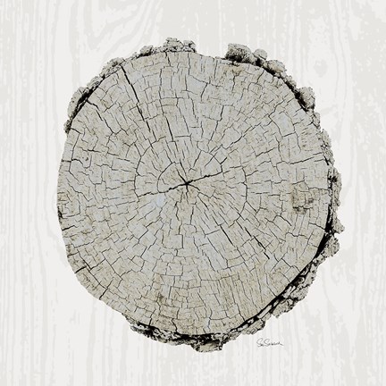 Framed Woodland Years II with Silver v2 Print