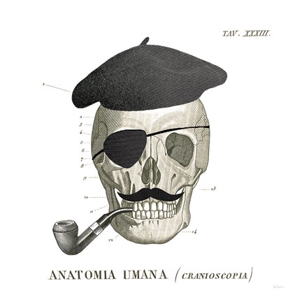 Framed Dandy Bones VI Print