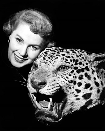 Framed 1950s Woman Face Posed With Growling Stuffed Leopard Head Print