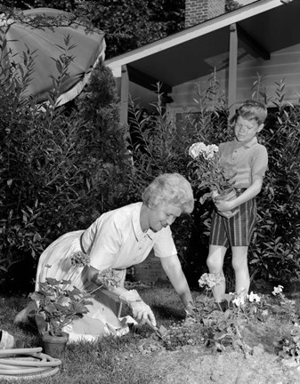 Framed 1960s Boy Helping Grandmother Plant Flowers Print