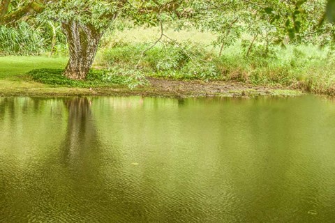 Framed Place of Peace I Print