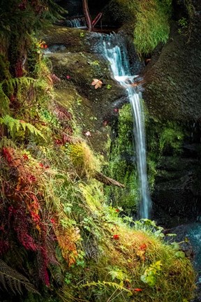 Framed Black Forest Lower Falls Print