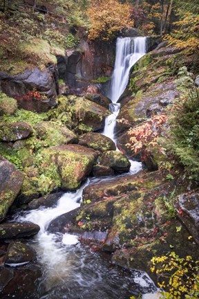 Framed Black Forest Upper Falls Print