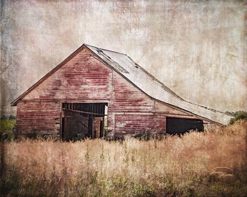 Framed Red Shed Print