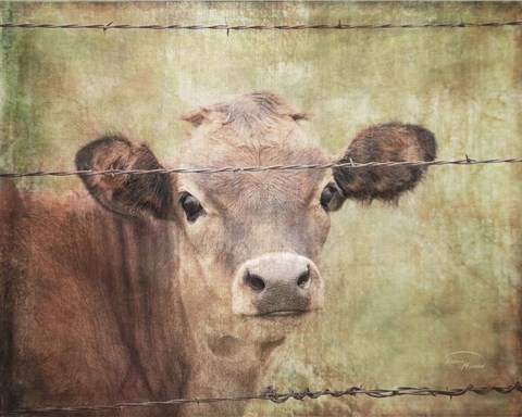 Framed Little Bess Print