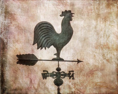 Framed Weathervane Print