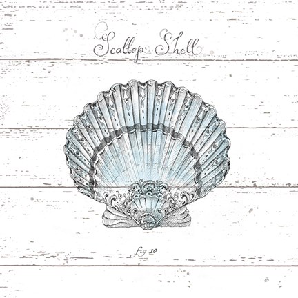 Framed Aqua Underwater Life VIII Shiplap Print