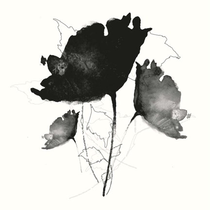 Framed B&amp;W Floral II Print