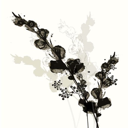 Framed B&amp;W Floral III Print
