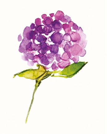 Framed Just to Say Hi Print