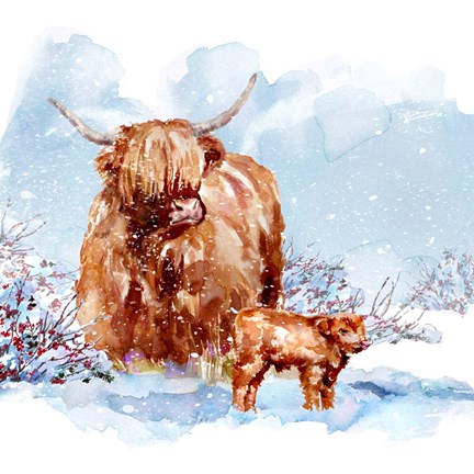 Framed Highland Cow &amp; Calf Print