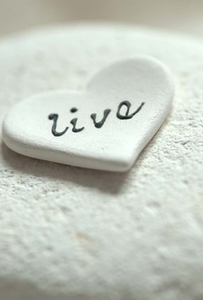 Framed Live Pebble Heart - Still Life Print