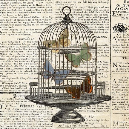 Framed Butterflies in Birdcage Print