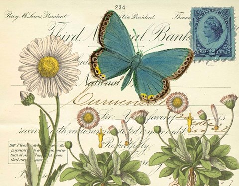 Framed Turquoise Butterfly and Daisies Print