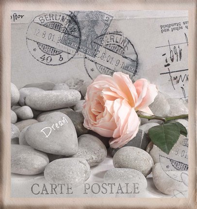 Framed Carte Postale - Rose Print