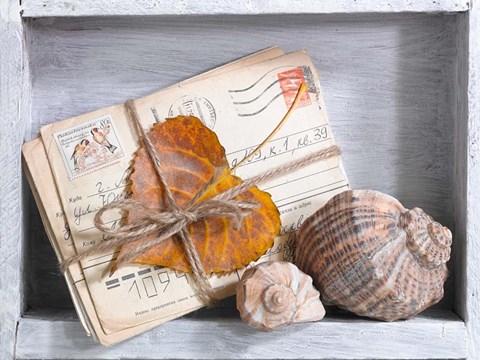 Framed Letters &amp; Shells Print