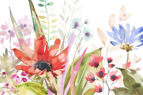 Framed Floral II Print