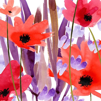 Framed Floral IV Print