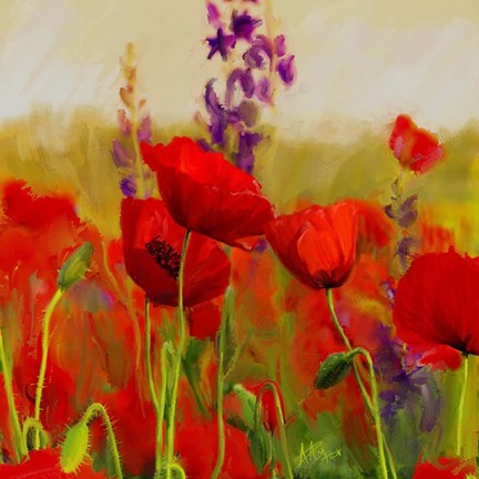 Framed Poppies Print