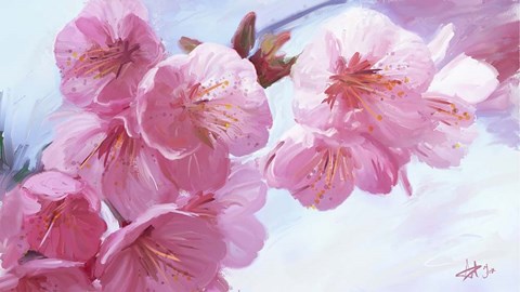 Framed Pink Blossom Print