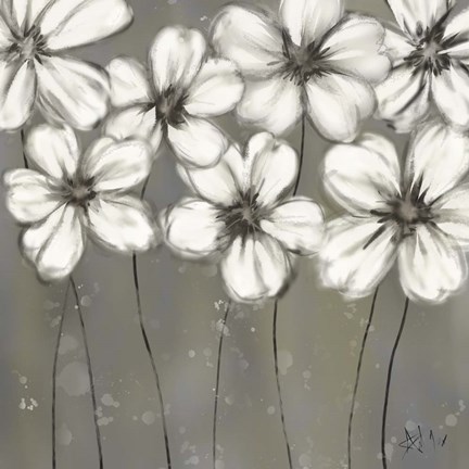 Framed Monochrome Daisies Print