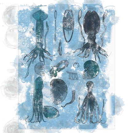 Framed Aquatic VII Print