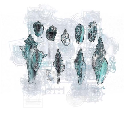 Framed Aquatic VIII Print