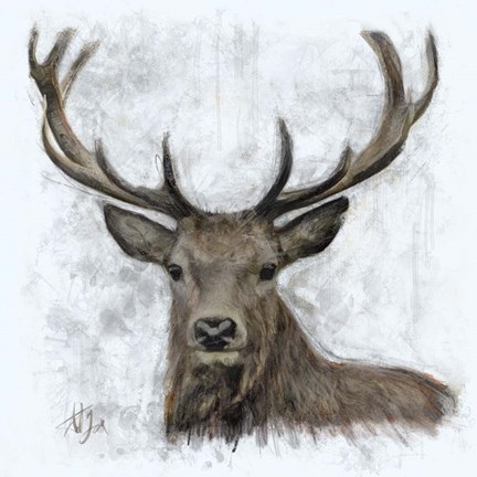 Framed Stag Print