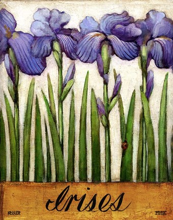 Framed Irises Print