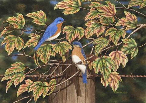 Framed Autumn Blues Print