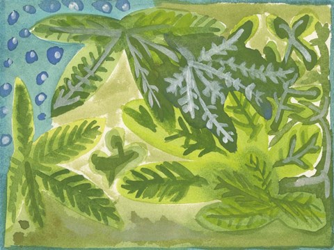 Framed Jungla Mexicana Print