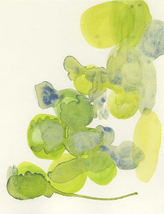 Framed Jardin du Printemps Print