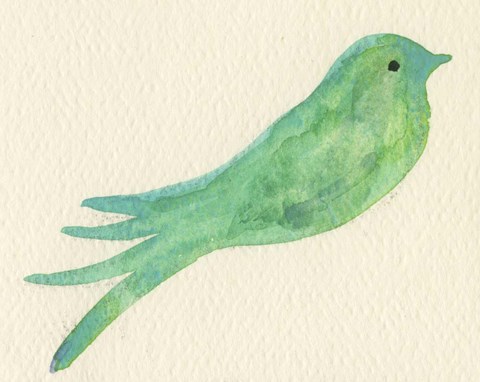 Framed Pajaro Verde Print