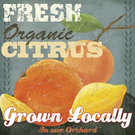 Framed Citrus Print