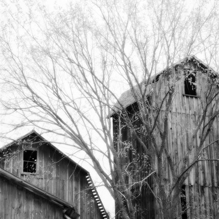 Framed Barn Windows Print