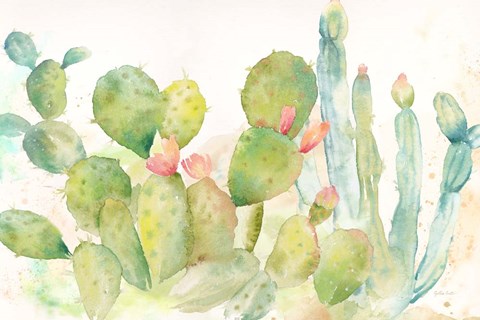 Framed Cactus Garden Landscape Print