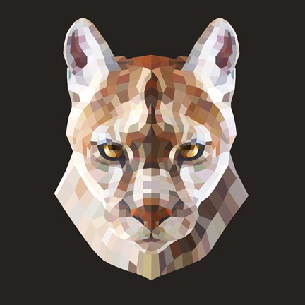 Framed Mountain Lion Print
