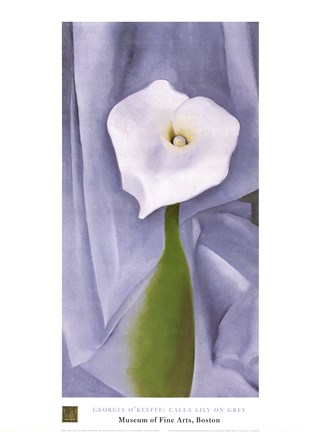 Framed Calla Lily on Grey Print