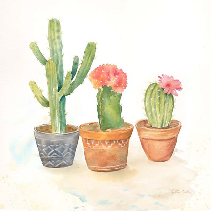 Framed Cactus Pots III Print