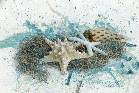 Framed Found At Sea Print